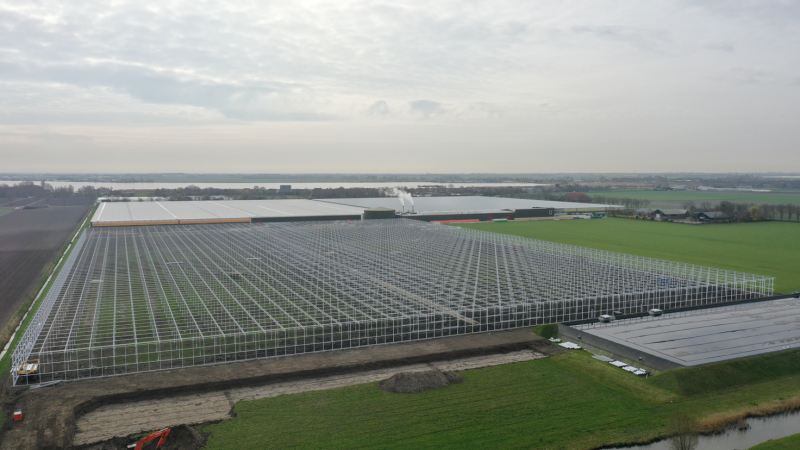 Sustainable greenhouse spanning 8,2 hectares